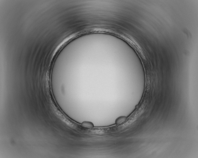 X0000110970798200906191110