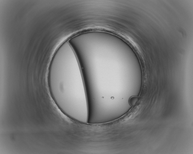 X0000110970799200906191110