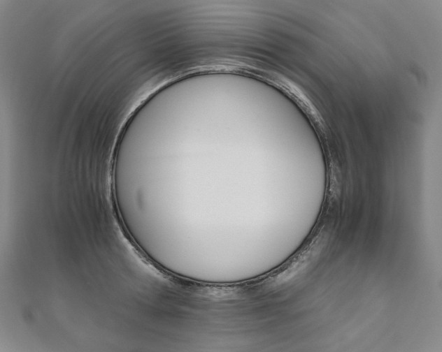 X0000110970802200906191110