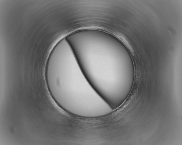 X0000110970805200906191110