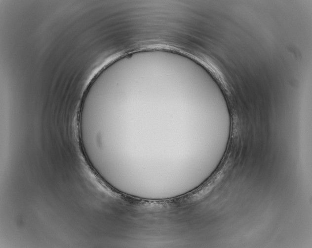 X0000110970806200906191110