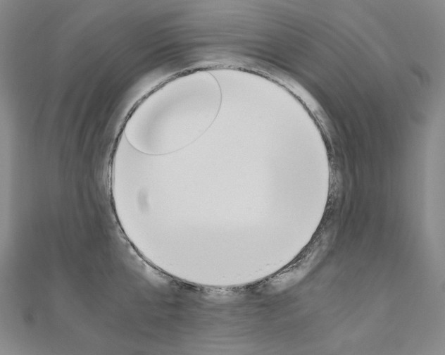 X0000110970807200906191110