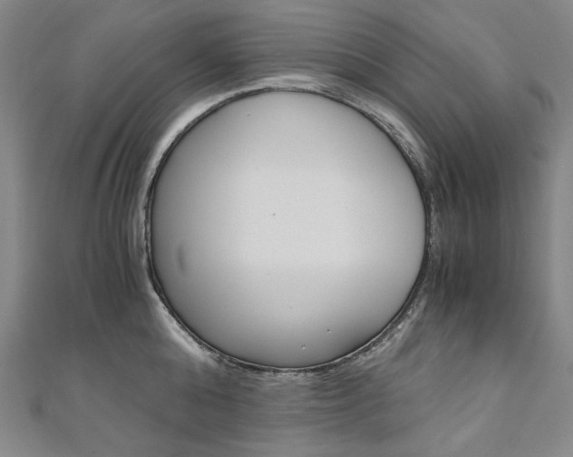 X0000110970808200906191110