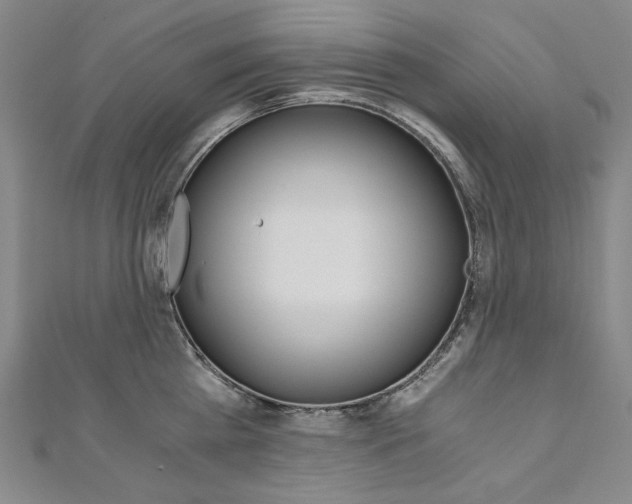 X0000110970809200906191110