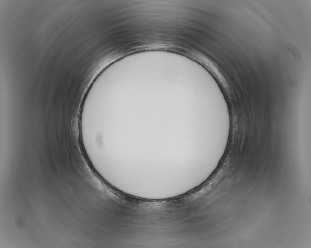 X0000110970810200906191110