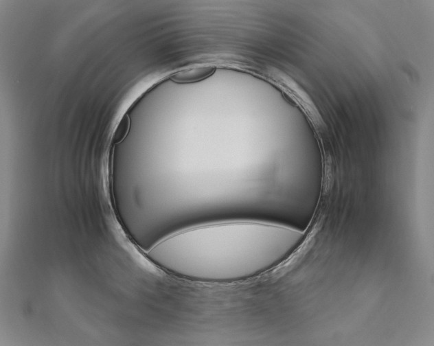 X0000110970812200906191110