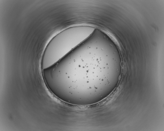 X0000110970813200906191110