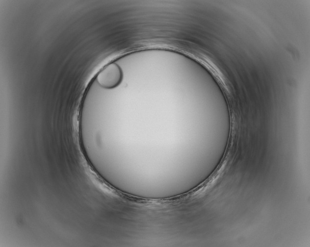 X0000110970814200906191109