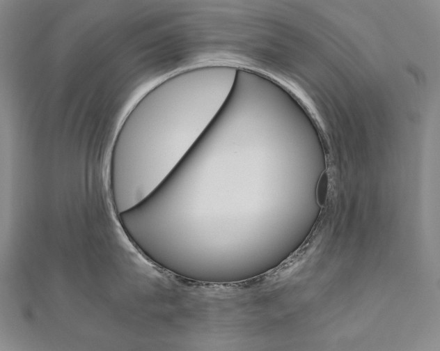 X0000110970815200906191109