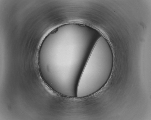 X0000110970816200906191109