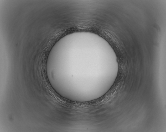 X0000110970817200906191109