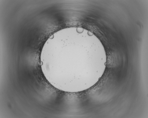 X0000110970820200906191109