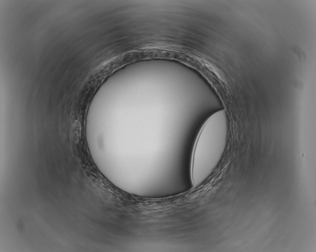 X0000110970821200906191109