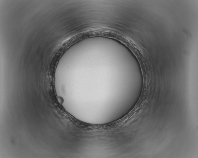 X0000110970822200906191109