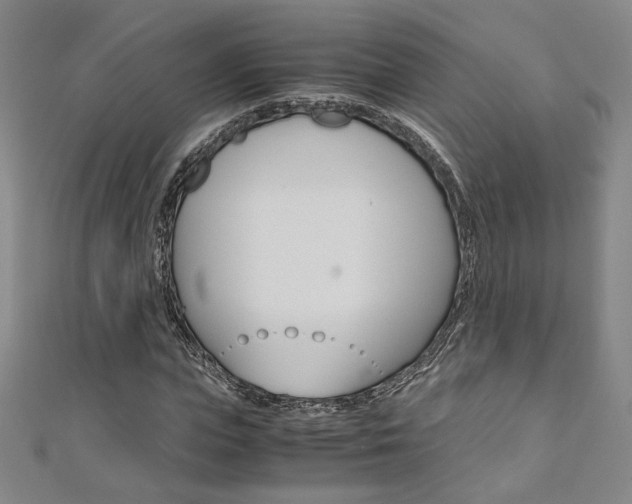 X0000110970823200906191109