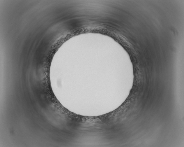 X0000110970824200906191109