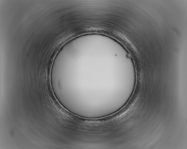 X0000110970825200906191109