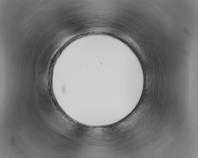 X0000110970828200906191109