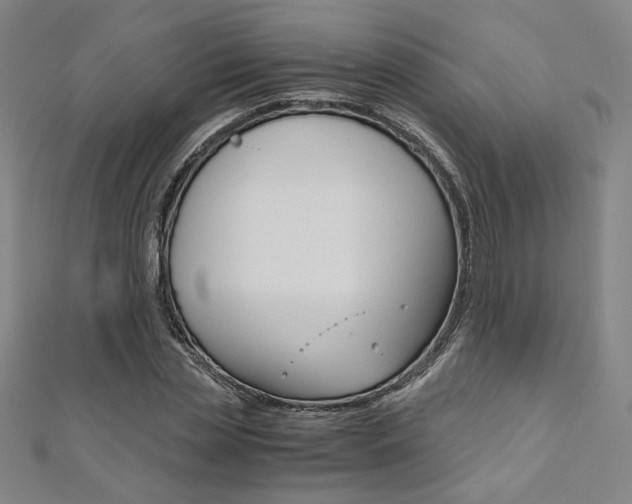 X0000110970829200906191109