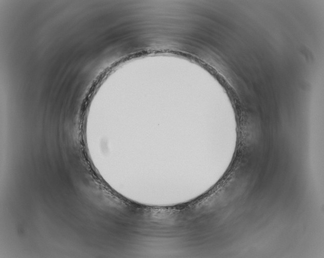 X0000110970832200906191109