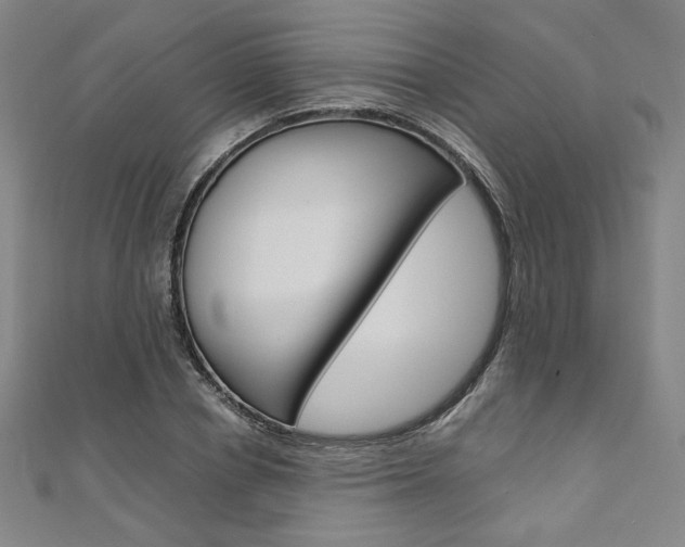 X0000110970834200906191109