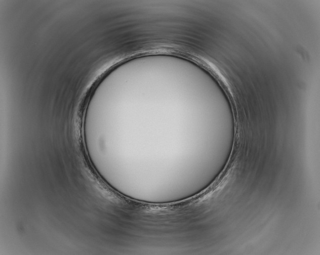 X0000110970835200906191109
