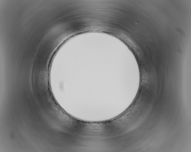 X0000110970836200906191109