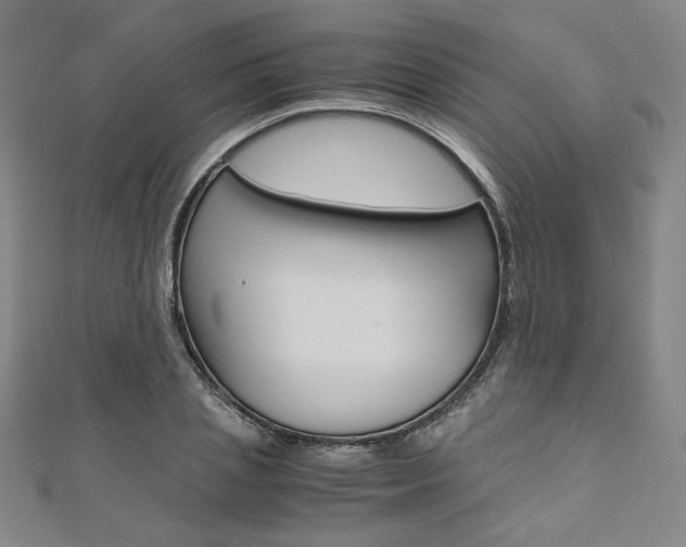 X0000110970837200906191109