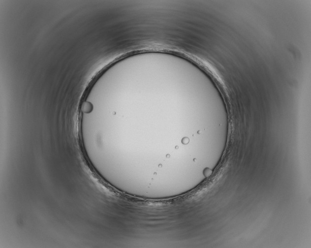 X0000110970839200906191109