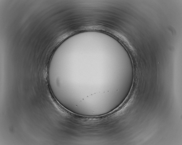 X0000110970841200906191109
