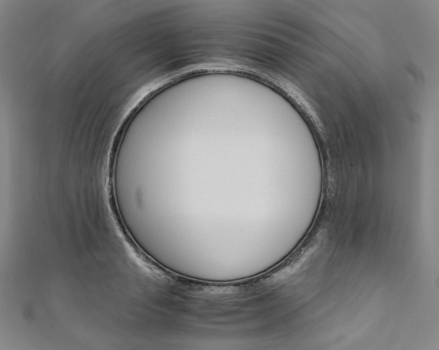 X0000110970845200906191109