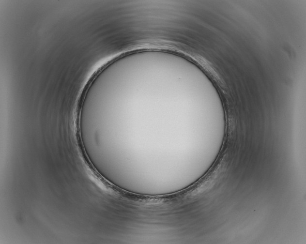 X0000110970846200906191109