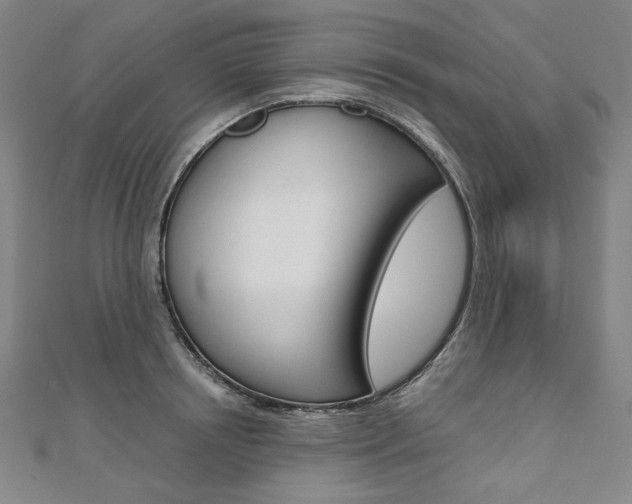X0000110970850200906191109