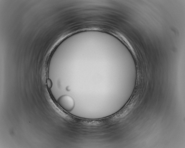 X0000110970851200906191109