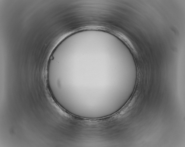 X0000110970852200906191109