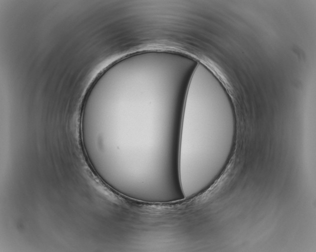 X0000110970854200906191109