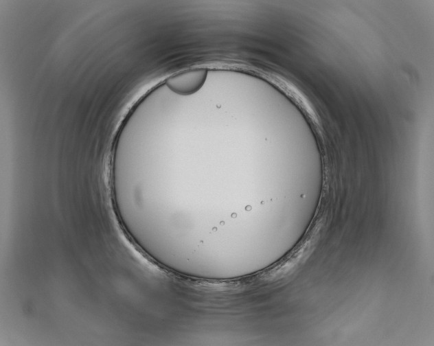 X0000110970855200906191109