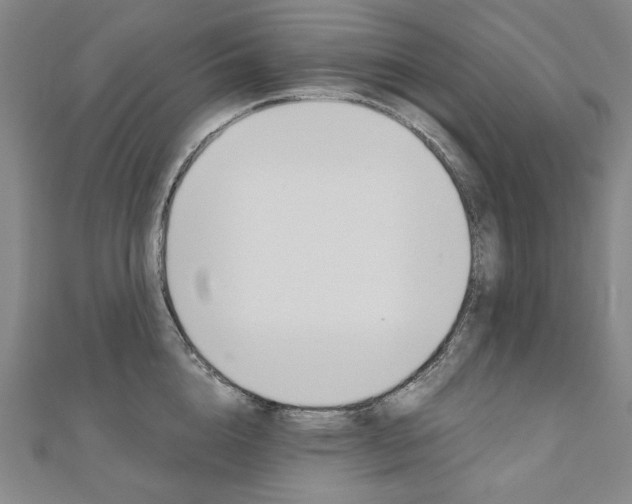 X0000110970856200906191109