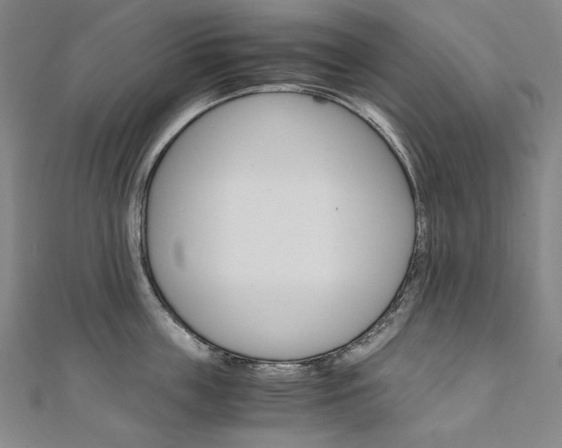 X0000110970859200906191109