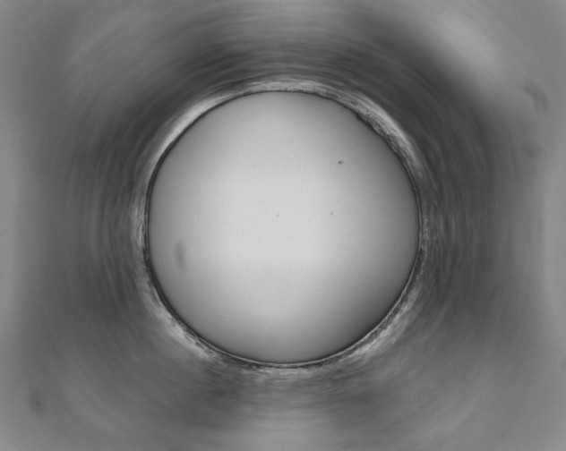X0000110970860200906191109