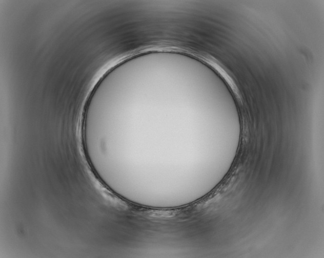 X0000110970861200906191109