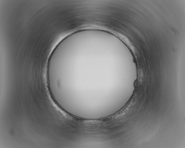 X0000110970863200906191109