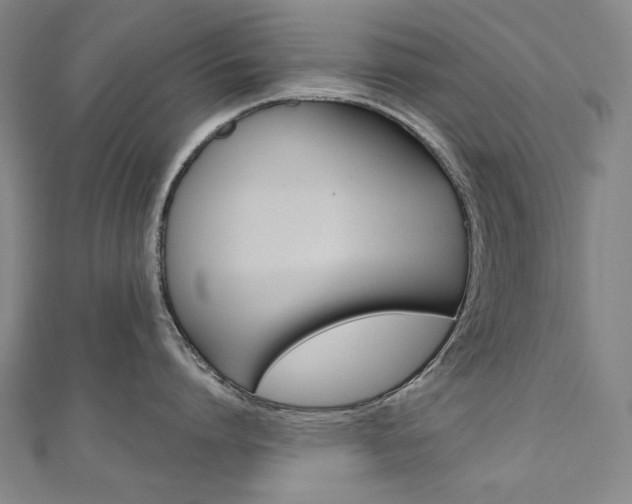 X0000110970864200906191109