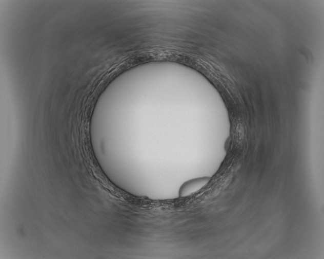 X0000110970865200906191109