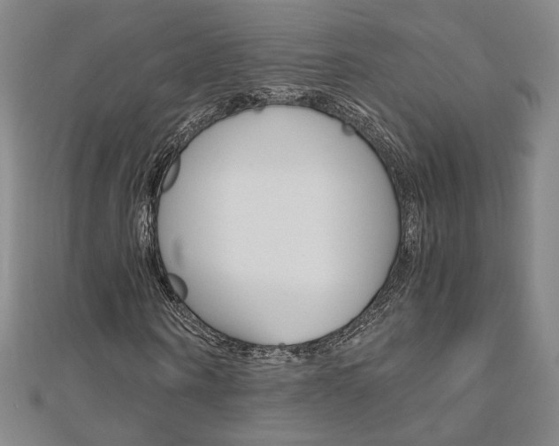 X0000110970866200906191109