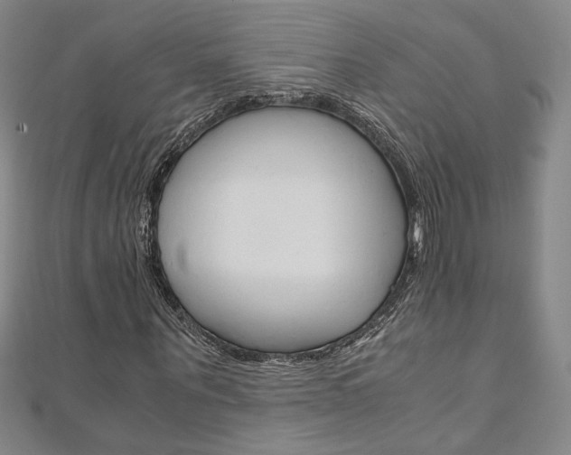 X0000110970867200906191109