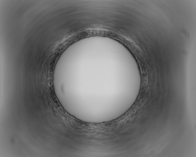 X0000110970870200906191109