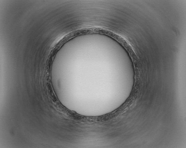 X0000110970871200906191109