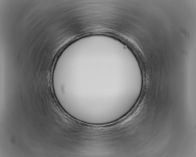 X0000110970873200906191109