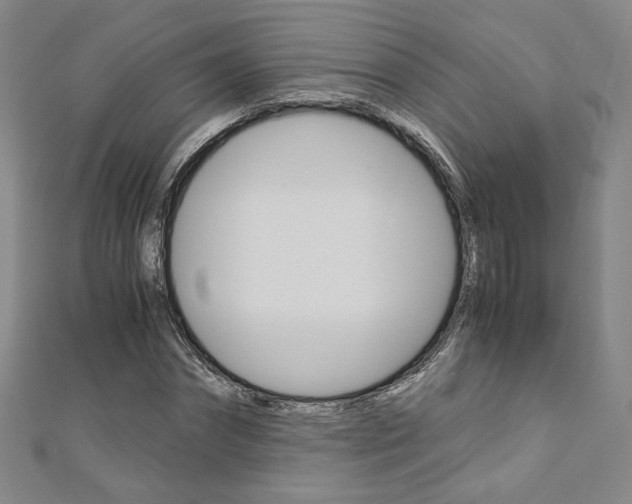 X0000110970874200906191109